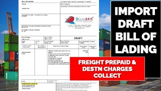 How to check Import Draft BL II Import Bill of Landing import importexportshippingbilloflading [upl. by Sillyrama]