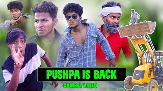 PUSHPA IS BACK  The Comedy Kingdom [upl. by Koball]