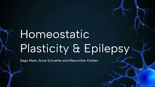 What Role does Homeostatic Plasticity have in Epilepsy  A Computational Approach to EI Balance [upl. by Chelton]