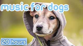 NO ADS Music for Dogs FastActing Dog Relaxation Therapy Sounds [upl. by Paymar]