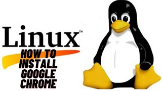 How to install Google Chrome in Ubuntu 2004 Linux [upl. by Sille]