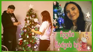 🎄VLOG ნაძვის ხე მოვრთეთ [upl. by Obelia]