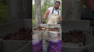 nside a Louisiana Crawfish Farm with Jacob Cortez  Full Bayou Experience [upl. by Akirdnas]