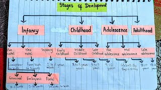 Stages of Development  The BEd Notes  Paper 1  Childhood amp Growing Up by Train the Teacher [upl. by Karlie]