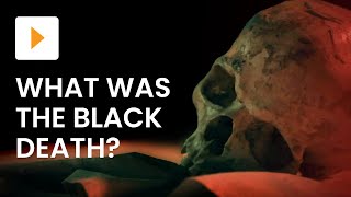 What Was The Black Death [upl. by Annekam]