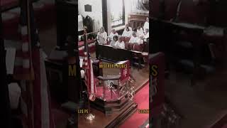 Agnus dei missa de Angelis gregorian accapella gregorianchant holymass piano vypシ choir [upl. by Stannwood66]