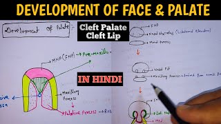 Development of Face and Palate  Systemic Embryology Anatomy [upl. by Ria]