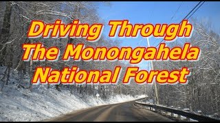 Driving through The Monongahela National Forest [upl. by Yordan836]