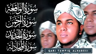 Qari Tawfikheart touching voice😴😴 سوت يريح القلب وسمع [upl. by Erodasi]