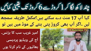 Earn Crores From Tree Farming Business  Kikar Farming  Tree farming  Low Investment Business [upl. by Merras673]