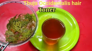 Prevent Hair Loss And Hair Fall With Thuja Onion Peels Hot Water Infused Extract [upl. by Middlesworth941]