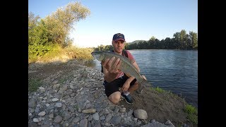 15 KG Bucov na UL Drina jul 2017 [upl. by Eoj]