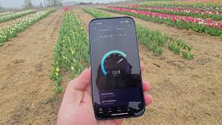 Testing all Three Wireless Providers in the Middle of NOWHERE PA  Brown Hill Tulip Farm [upl. by Mcnalley294]