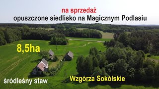 na sprzedaż opuszczone siedlisko 85ha na Podlasiu z lasem i śródleśnym stawem  Wzgórza Sokólskie [upl. by Ricarda393]