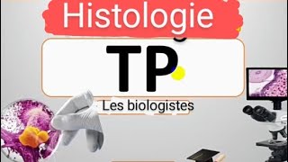 TP d histologie BCG [upl. by Nattirb]