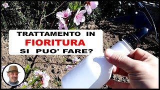 TRATTAMENTO IN FIORITURA si può fare [upl. by Nnahtebazile]