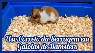 Como Usar a Serragem Corretamente na Gaiola do seu Hamster [upl. by Home357]