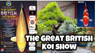 STUNNING Japanese koi at the Great British Koi Show Did we buy anything [upl. by Tammany]