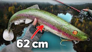 Casting  a 62 cm  12 kg Swimbait for River Beasts 🦖 [upl. by Angela927]