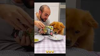 Sorry dog 🐶 petcommunity funny funnydog petloversunite pets duet funnypet funnyanimal funny [upl. by Rundgren]