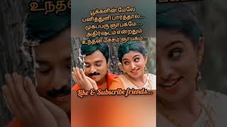 ❤edho oru pattu song❤ trending whatsappstatus truelove tamilsong shorts music reels lyrics [upl. by Seafowl]