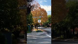 autumn in California video nature [upl. by Ellimahs]