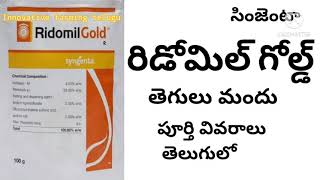 Ridomil gold fungicide full details in Telugu by httpswwwyoutubecomcinnovativefarmingtelugu [upl. by Eenahpets]