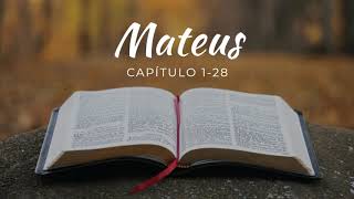 Mateus – Capítulo 1 ao 28  Bíblia Sagrada  Corrigida e Revisada Fiel [upl. by Euell]