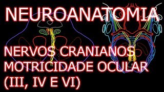 Aula Neuroanatomia  Nervos Oculomotor III Troclear IV e Abducente VI  Neuroanatomia 63 [upl. by Reivad116]