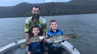 Hawkesbury river Jewfish [upl. by Wadell]