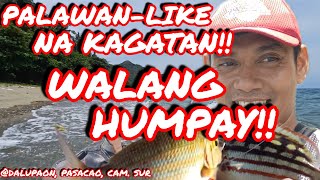 😲🫡👍💯 MARAMING ISDA SA BAGONG FISHING SPOT NA ITO DALUPAON PASACAO CAM SUR satisfying [upl. by Suoirred]