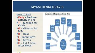 Myasthenia Gravis [upl. by Horton308]