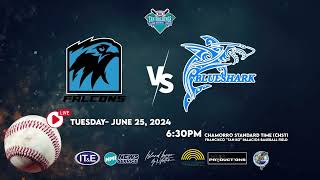 SBL  Falcons vs Bluesharks [upl. by Augie]