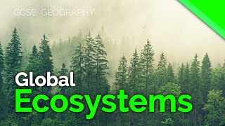 Global Ecosystems  Biomes  AQA GCSE 91 Geography [upl. by Pomona522]