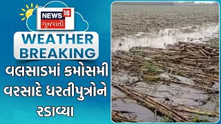 Valsad News  માવઠાએ ધરતીપુત્રોને રડાવ્યા  Crop Damage  Unseasonal Rain  Weather News  News18 [upl. by Harcourt]