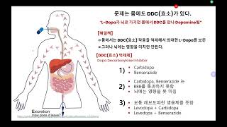 파킨슨까막눈02 도파민이 아닌 레보도파를 먹는 이유 BBB 때문 [upl. by Sontich]