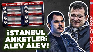 Anketlerde Ekrem İmamoğlu Rüzgarı Nevzat Çiçek İstanbuldaki Son Anketleri Açıkladı [upl. by Evilo]