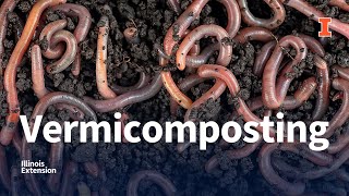 Vermicomposting Webinar [upl. by Eirrol]