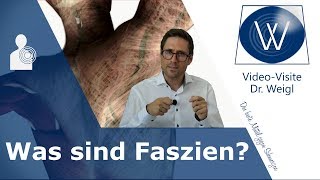 Jetzt ist die Zeit der Faszie ❗ Was sind Faszien amp welche Aufgaben hat das Fasziengewebe 1 [upl. by Anah164]