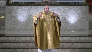 Homily for Trinity Sunday Epiphany Catholic Church [upl. by Peterus]