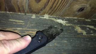 How to Know Termite Damage In Your House When You See It [upl. by Innattirb]