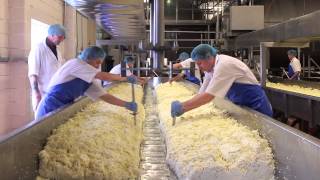 Cheese Making Process [upl. by Diamond]