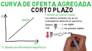 Curva de oferta agregada a corto plazo  Cap 34  Macroeconomía [upl. by Ludovika]