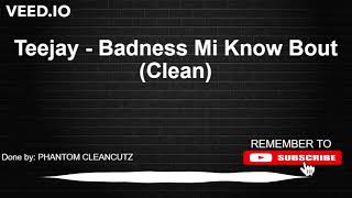 Teejay  Badness Mi Know Bout Clean [upl. by Nylatsyrk]