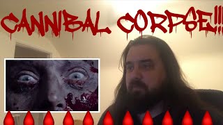 REACTION Cannibal Corpse  Necrogenic Resurrection [upl. by Skiest]