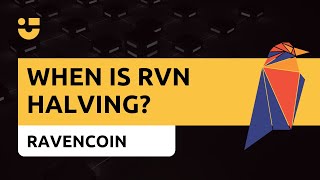 NiceTalk Highlights Ravencoin halving [upl. by Sartin]