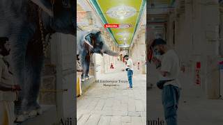 Thanjavur Elephant’s blessing in temple ☺️🥰 Adi Kumbeswarar Temple thanjavur temple [upl. by Baal]