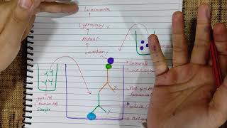 Chemiluminescence Assay  CLIA  Principle diagram  Medicology [upl. by Emil]