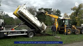 Reportage  Semaine de larbre en ville  planter pour préserver la planète [upl. by Ojybbob]