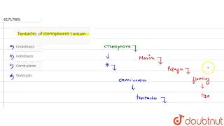 Tentacles of ctenophores contain [upl. by Lidia]